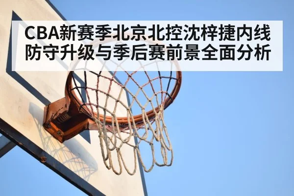 basketball rebound（kaiyun）